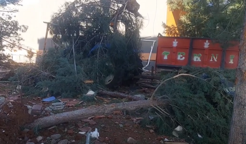 Fırtına Urfa’yı Vurdu: Can Kayıpları ve Büyük Yıkım