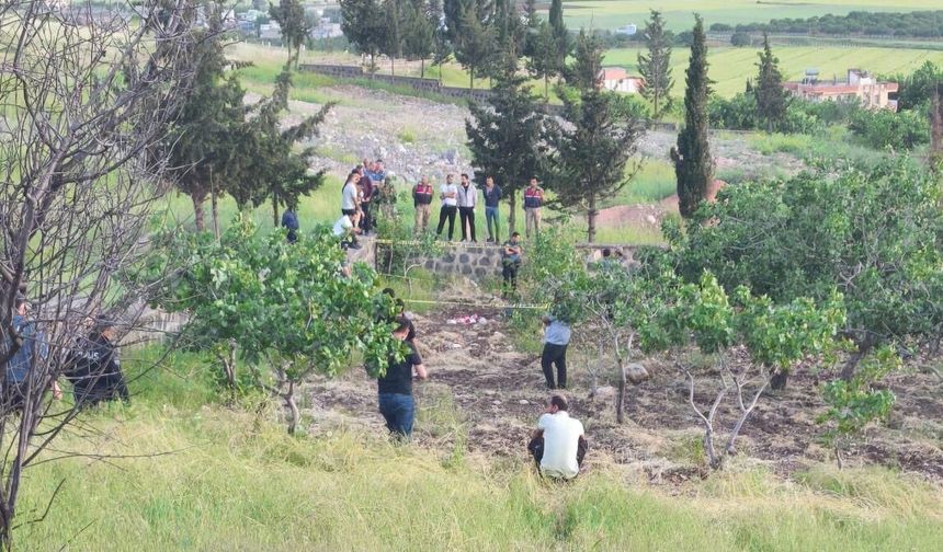 Şanlıurfa’da Dehşet Veren Olay! Gözaltındaki Şüpheliler Serbest Bırakıldı