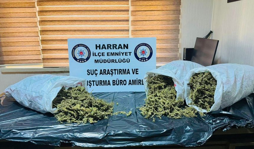 Harran’da Narkotik Darbe! 8 Kiloyu Aşan Esrar Ele Geçirildi