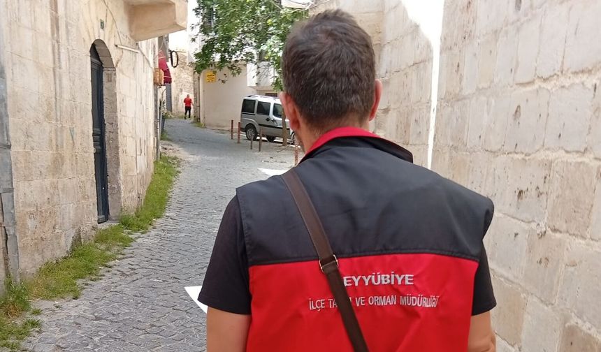 Eyyübiye’de Sağlığı Tehlikeye Atan İşletmelere Büyük Darbe