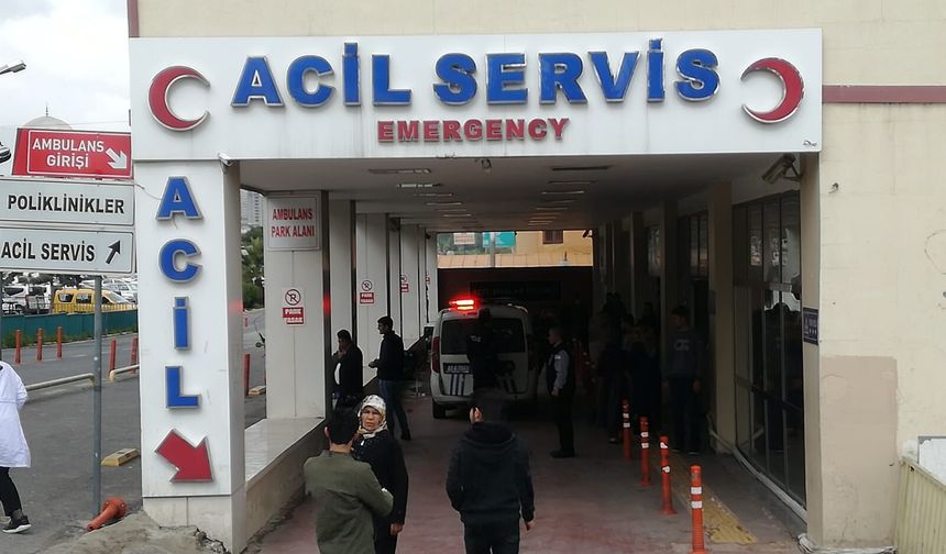 Eyyübiye'de araç sulama kanalına uçtu