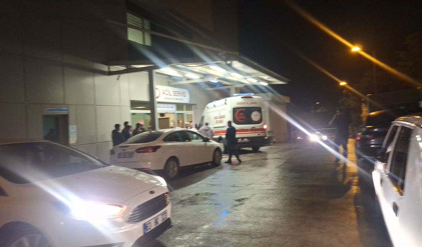 Birecik’te Aile İçi Tartışma Katliama Dönüştü: 2 Kardeş Öldü