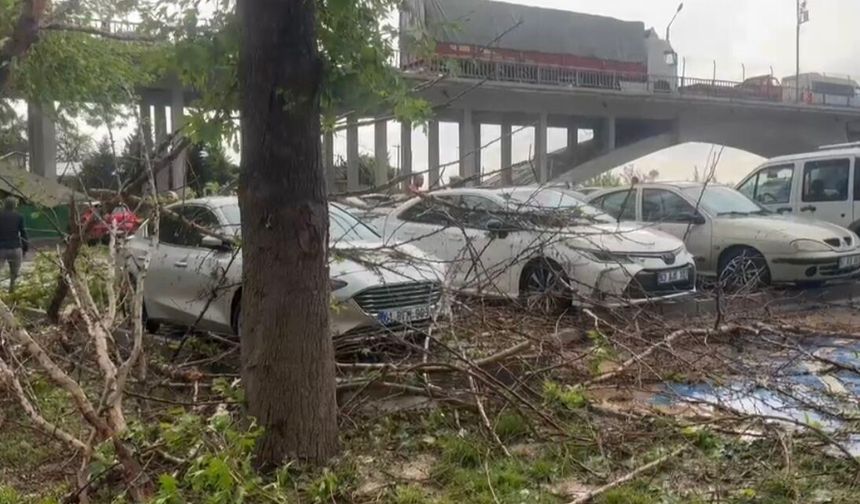 Birecik’te Fırtına ve Dolu Hayatı Felç Etti