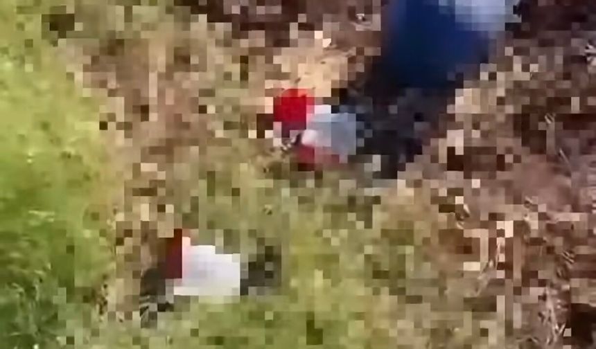 Şanlıurfa'da Varilde Çok Sayıda Cenin Tespit Edildi