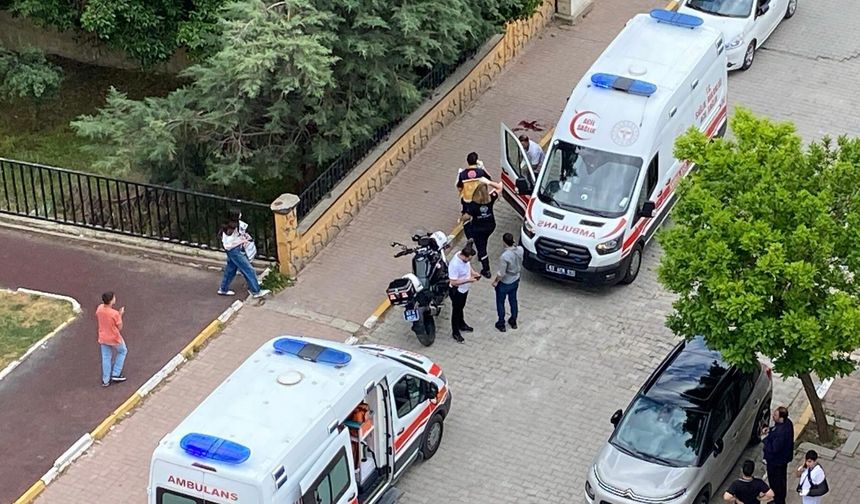Şanlıurfa'da Park Kavgasında 3 Genç Yaralandı
