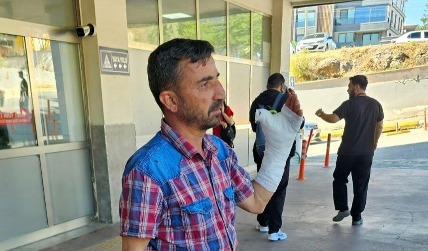 Şanlıurfa’da Kurban Bayramı Bilançosu: 434 Acemi Kasap Hastanelik Oldu