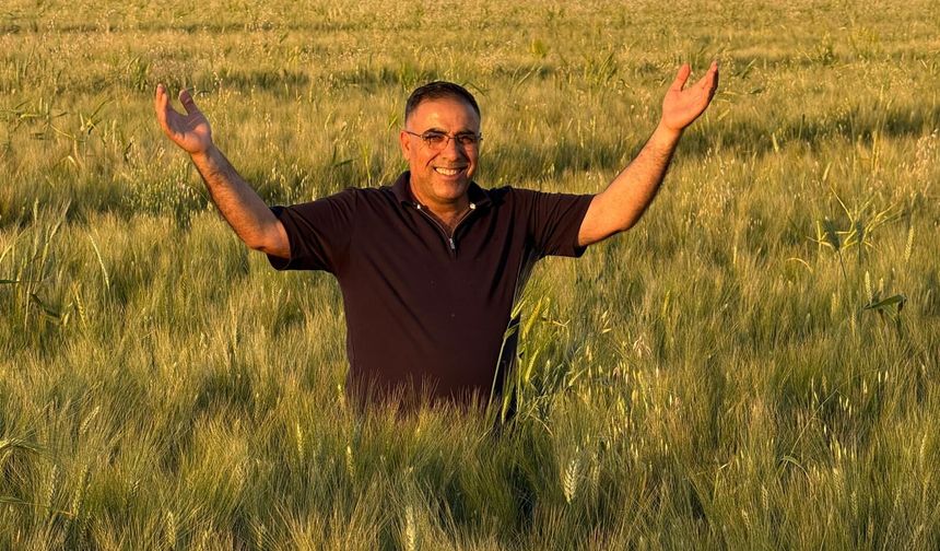 Şanlıurfa’da Çiftçi Bu Yıl Rekor Verim Bekliyor