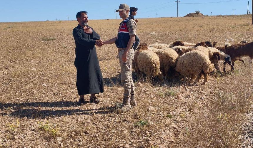 Drone Destekli Arama Sonuç Verdi: Kayıp 17 Küçükbaş Hayvan Bulundu