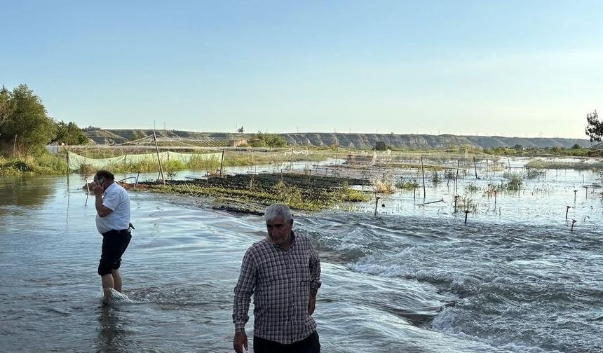 Birecik’te Baraj Kapakları Açıldı: Fıstık Bahçeleri Sular Altında