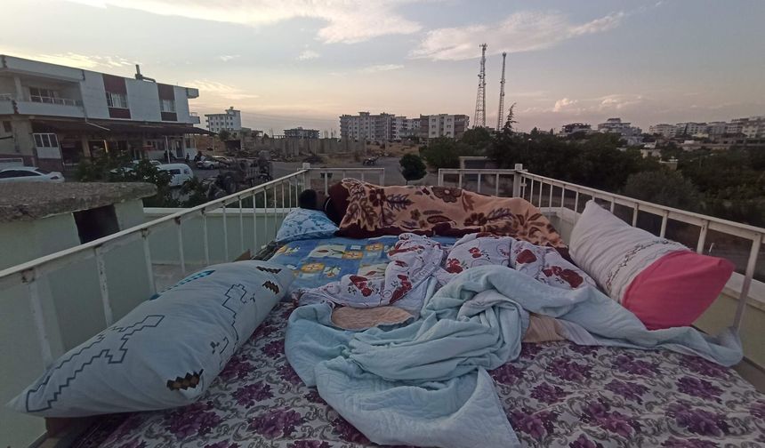 Şanlıurfa’da Sıcaktan Kaçışın Adı: Dam Palas