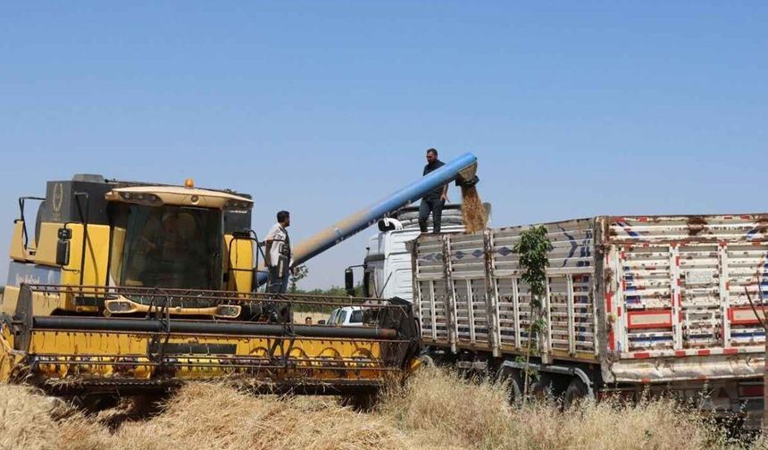 2026 Hububat Alım Fiyatları Belli Oldu