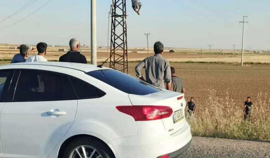 Şanlıurfa’da Korku Dolu Anlar! Elektrik Direğinde Asılı Kaldı