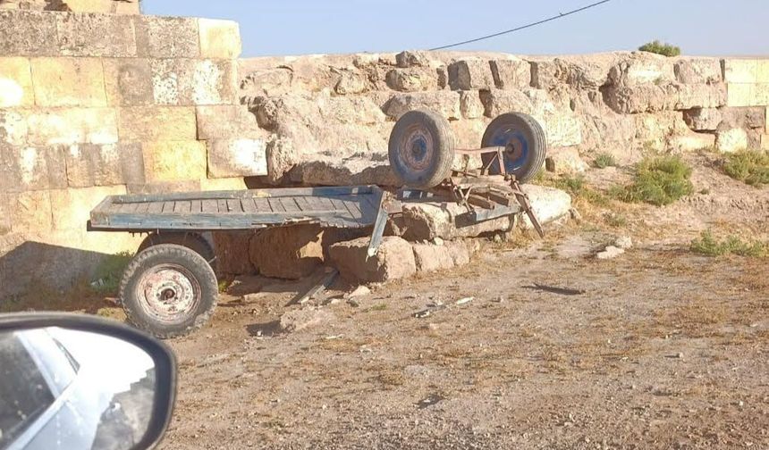 Harran’da Sıra Dışı Kaza! At Arabası Tarihi Surlara Çarparak Devrildi