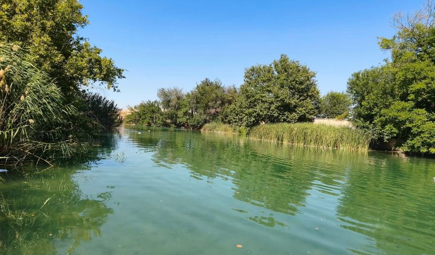 Şanlıurfa’da Sessiz Güzellik Gündemde: Edene Göleti İçin Yeni Plan