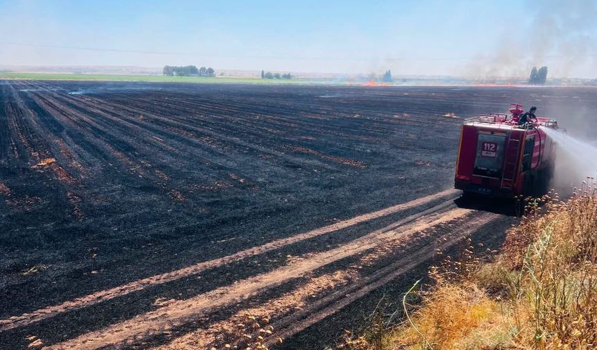 Şanlıurfa'da Anız Yakanlara 5 Milyon Ceza Kesildi