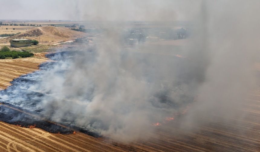 Şanlıurfa’da Anıza Doğrudan Ekim Çalışmaları Genişletildi