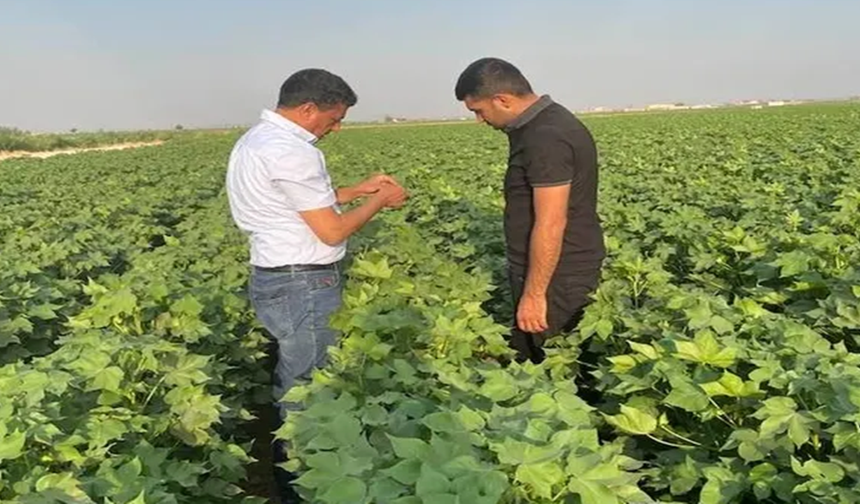 Eyyübiye’de Tarımda Yeni Dönem! Bu Belge Olmadan İlaçlama Yapılamayacak