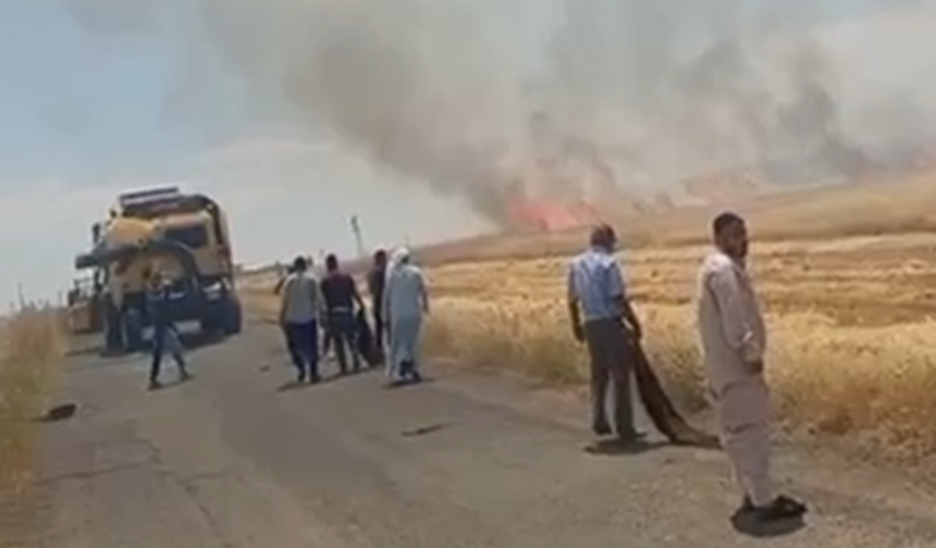 Eyyübiye’de Buğday Tarlasında Yangın