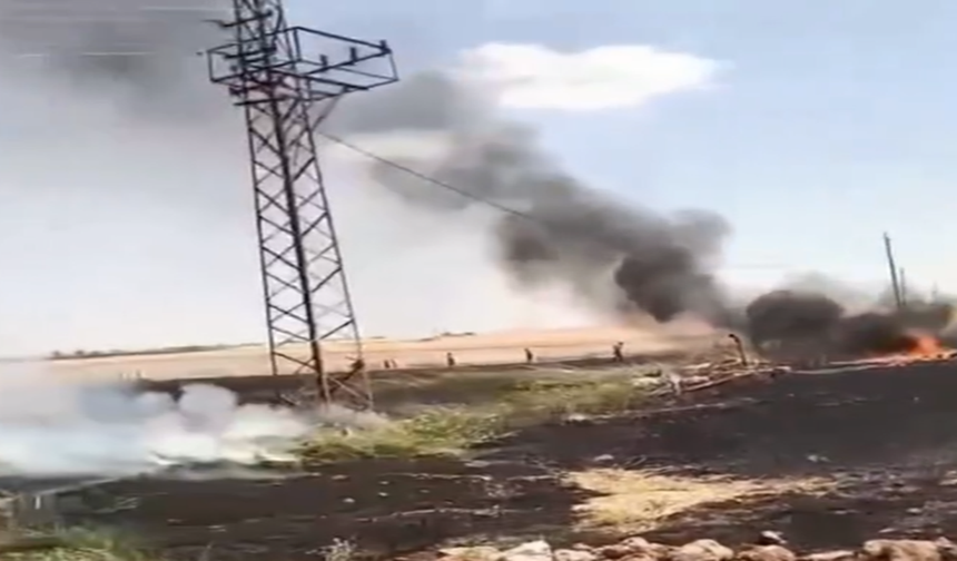 Harran’da Facia: 50 Dönümlük Alan Alevlere Teslim Oldu