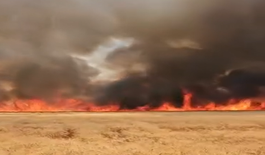 Harran'da Buğday Tarlasında Yangın
