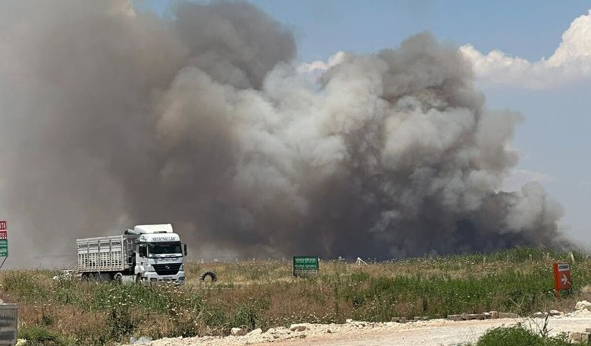 Şanlıurfa’da Tehlike Büyüyor! O Duman Sürücülere Zor Anlar Yaşatıyor