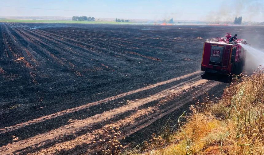 Harran'da 500 Dönümlük Tarlada Anız Yangını