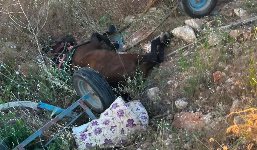 Halfeti’de Feci Kaza: At Arabasına Çarpan Araç 1 Can Aldı