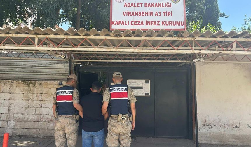 Şanlıurfa'da Yağma Hükümlüsü Yakalandı