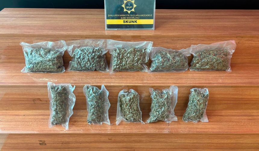 Şanlıurfa'da 2 kilo 600 gram skunk ele geçirildi: 1 tutuklama