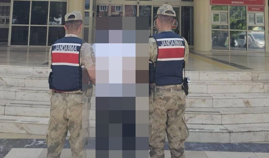 Şanlıurfa Jandarması İz Sürdü, Aranan Şahıs Yakalandı