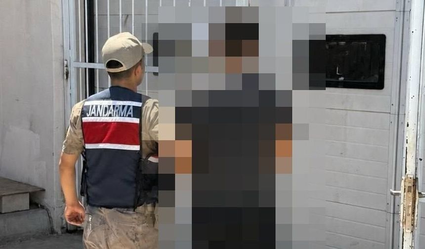 Ceylanpınar’da Firari Hükümlü Yakalandı