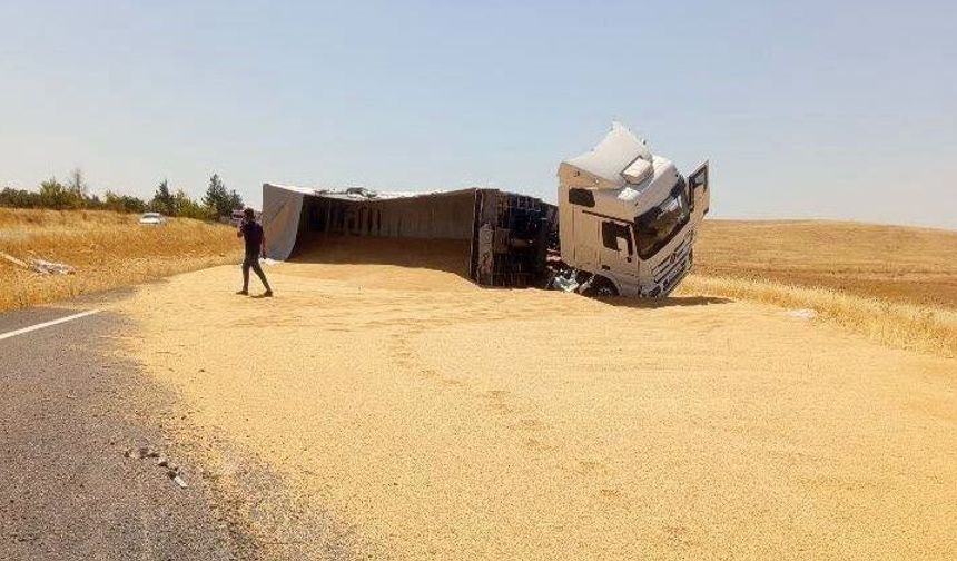 Şanlıurfa’da Tır Devrildi, Tonlarca Buğday Yola Döküldü