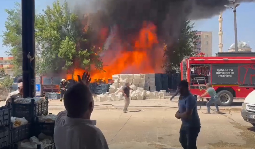 Viranşehir’de Yangın Korkuttu! Çevrede Panik Yaşandı