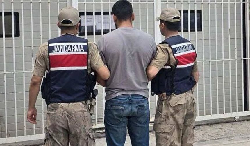 Şanlıurfa’da Firari Dolandırıcılık Hükümlüsü Yakalandı