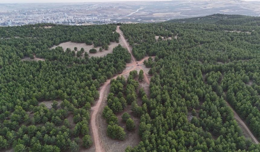 Şanlıurfa’nın En Büyük Rekreasyon Projelerinden Biri Hayata Geçiyor