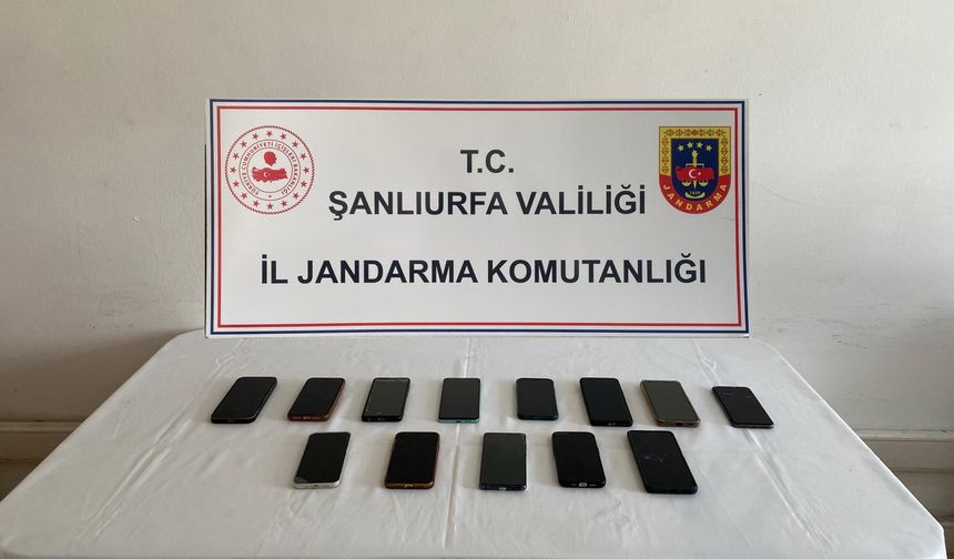Şanlıurfa'da Ehliyet Sınavı Vurgunu: 5 'Joker Aday' Tutuklandı