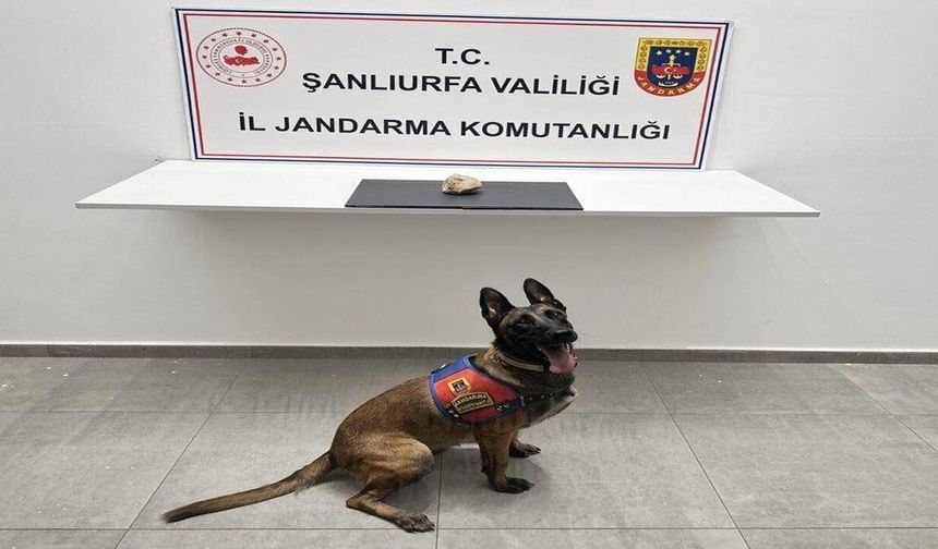 Şanlıurfa’da Uyuşturucu Operasyonu! Ele Geçirilen Madde Şoke Etti