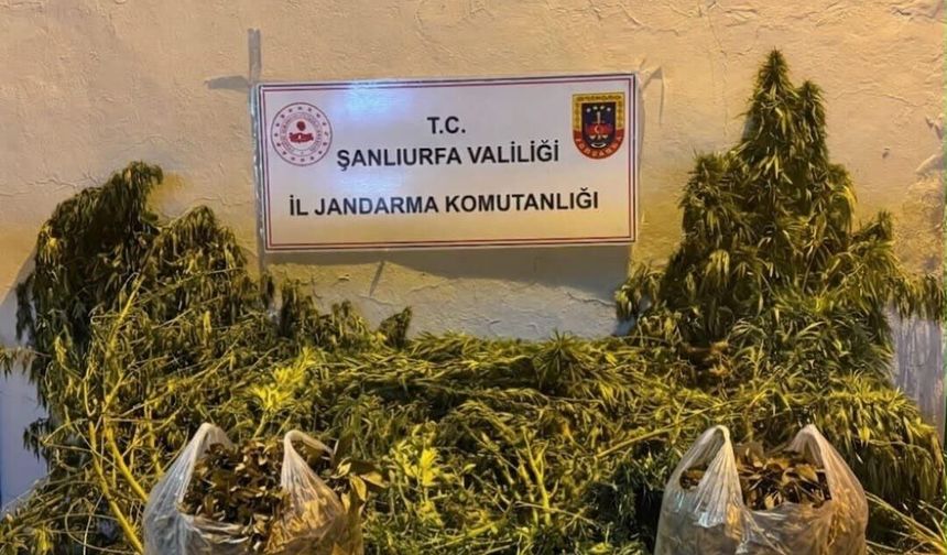 Halfeti ve Eyyübiye’de Jandarma Operasyonu!