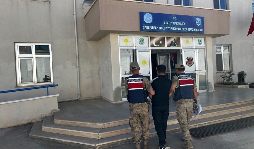 Siverek’te Firari Hükümlü JASAT’ın Takibinden Kaçamadı!