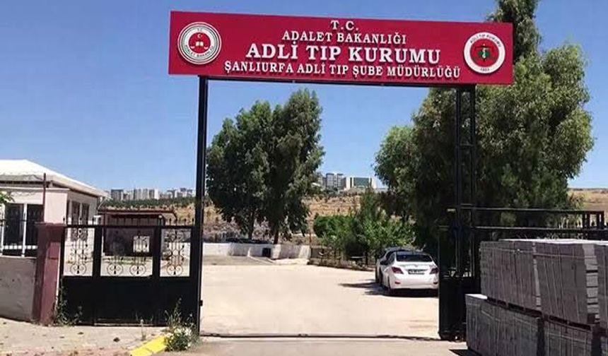 Akçakale'de tarlada acı olay: 58 yaşındaki Ali Türkmen ölü bulundu