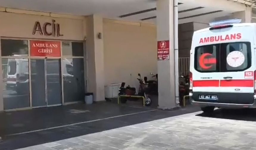 Şanlıurfa'da taşlı sopalı kavga. 4 yaralı