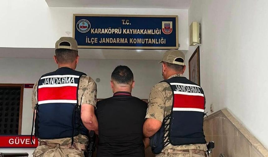 Şanlıurfa’da Aranan Hükümlü Jandarma Ekiplerince Yakalandı
