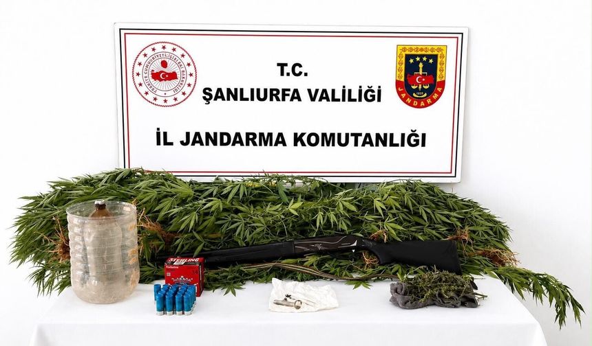 Akçakale’de uyuşturucu baskını: 102 gram esrar ele geçirildi