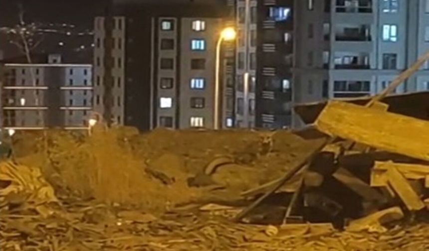 Karaköprü’de beklenmedik karşılaşma! Tilkiyi gören telefonuna sarıldı