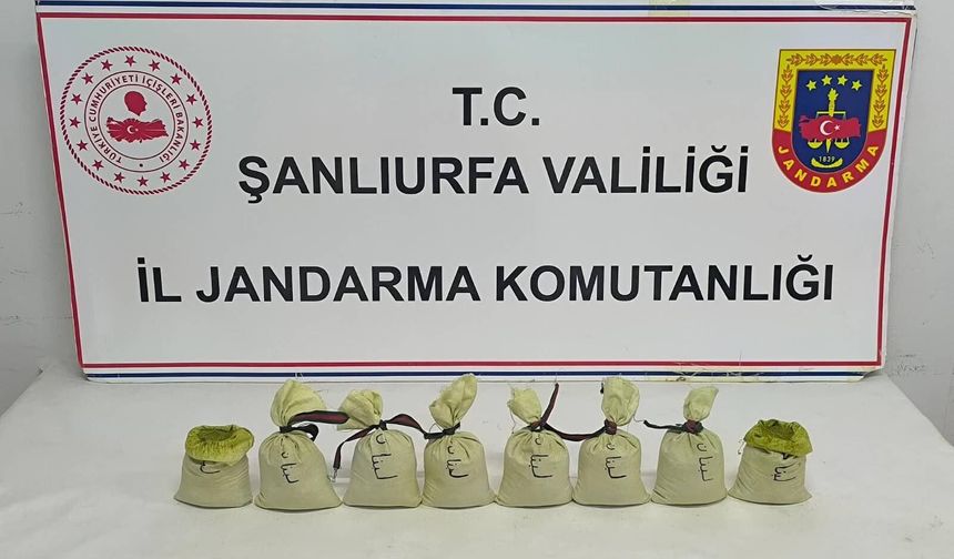 Zehir Tacirlerine Geçit Yok! Suruç’ta Uyuşturucu Operasyonu