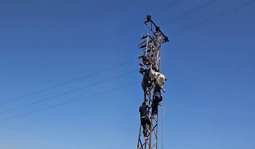 Ceylanpınar'da Elektrik Akımına Kapılan Vatandaş Direkte Asılı Kaldı