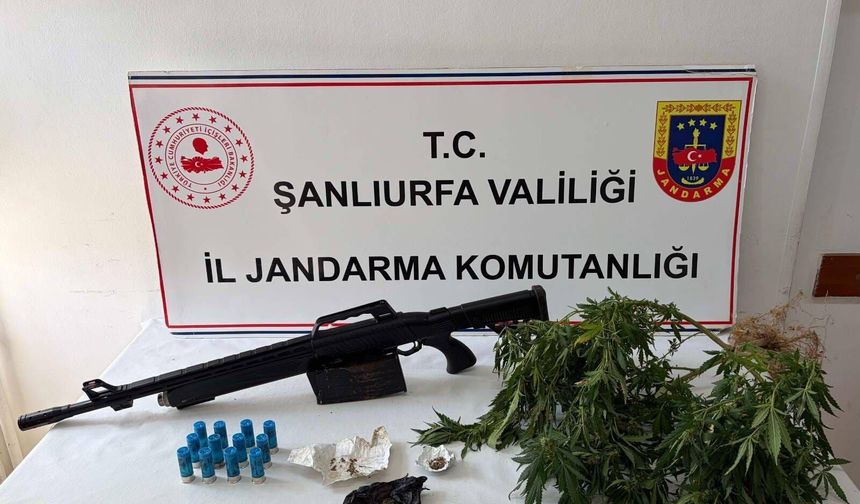 Şanlıurfa’da 3 İlçede Narkotik Operasyonu: Uyuşturucu ve Silah Ele Geçirildi