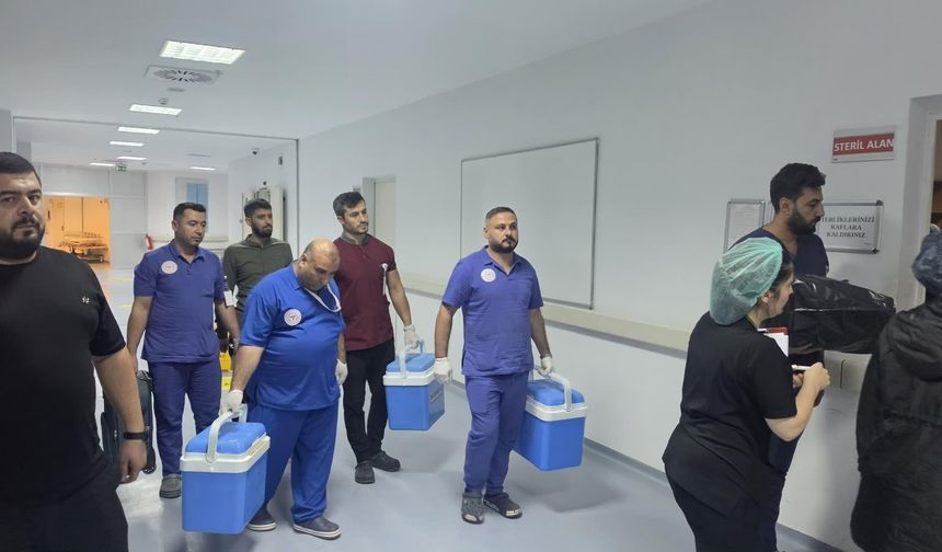 Elektrik Çarpması Sonrası Acı Haber! Şanlıurfa’da 2 Yaşındaki Bebekten 3 Hastaya Umut