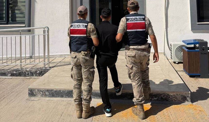 Şanlıurfa’da Jandarmadan İki İlçede Operasyon! Cezaları Dikkat Çekti