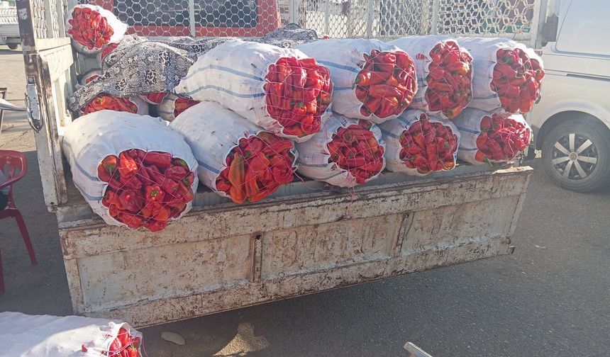 Şanlıurfa’da isot fiyatları çakıldı! 35 TL’den 20 TL’ye düştü